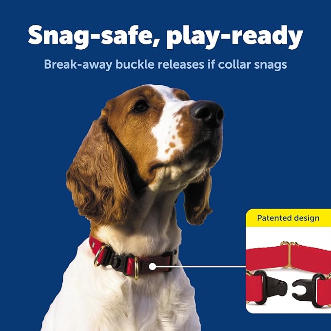 PetSafe KeepSafe Break-Away Safety Collar - Protects Dogs from Collar Accidents - Patented Break-Away Buckle - Durable Adjustable Design - Soft Nylon