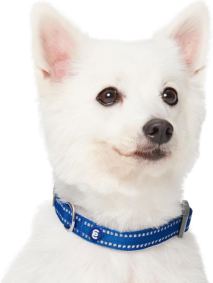 Blueberry Pet Essentials Reflective Dog Collar & Leash Set, Adjustable for Small Dogs | Safe Walking Gear for Pet Parents, Puppy Training & Daily Use SmallDogs, Navy