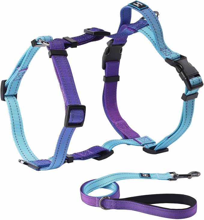 Roses&Poetry Dog Harness and Leash Set for Mediumn Dogs, No Pull Dog Harness Adjustable Reflective, Dog Halter Harnesses Comfort Padded Handle, Pet Harness for Training Outdoor Walking（Gsky-M