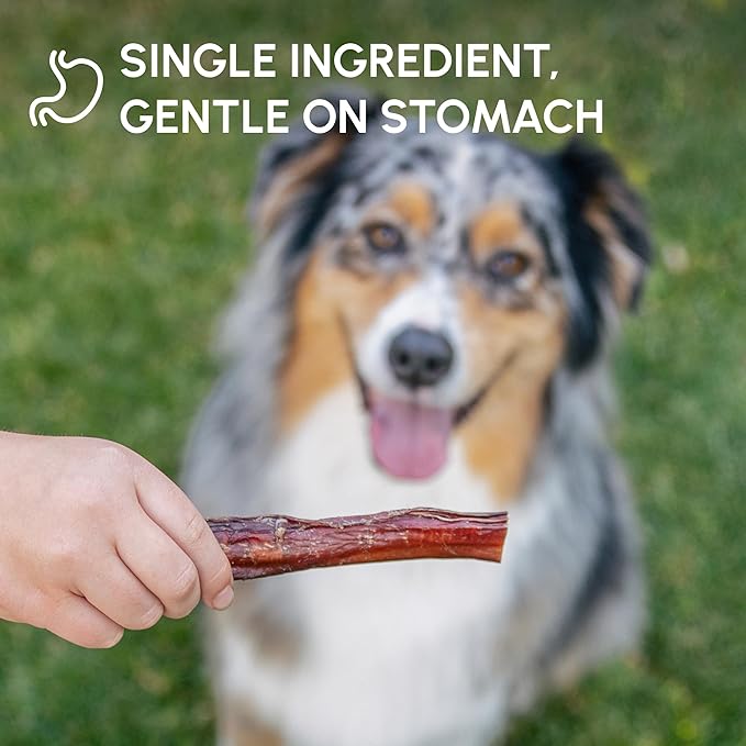 Downtown Pet Supply USA Sourced Bully Sticks for Dogs - Grass-fed Beef Chews, Low-Odor & Rawhide-Free, Long Lasting Dog Treats - Healthy, Safe & Delicious Chews (12" 30 Pack)