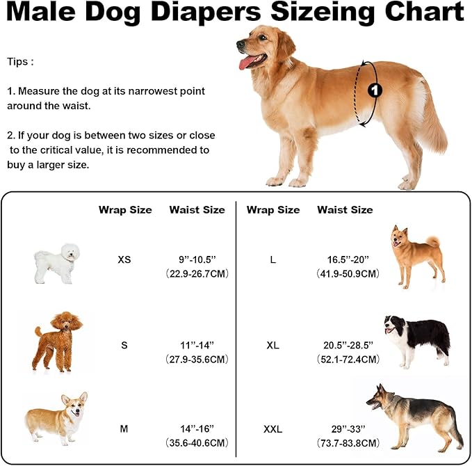 Washable Dog Diapers Male Reusable, Premium Belly Bands for Male Dogs, Pack of 3, High Absorbing Extra Large Male Dog Pee Wraps for Doggies in Incontinence or Excitable Urination and Training(XL)
