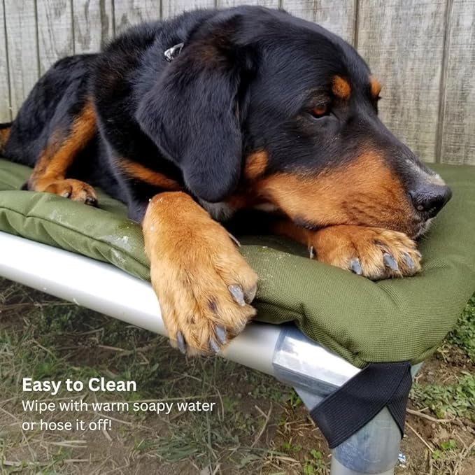 Kuranda Chewproof Elevated Pet Bed - Silver Aluminum - 50" x 36" - Sunsure Textilene - Sierra