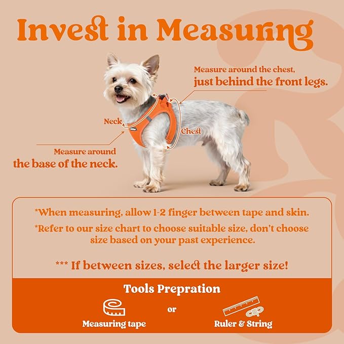 rabbitgoo Small Dog Harness, Step-in Soft Mesh Puppy Vest with Safety Buckle, Breathable Reflective Pet Harness for Small Sized Dogs, Orange M