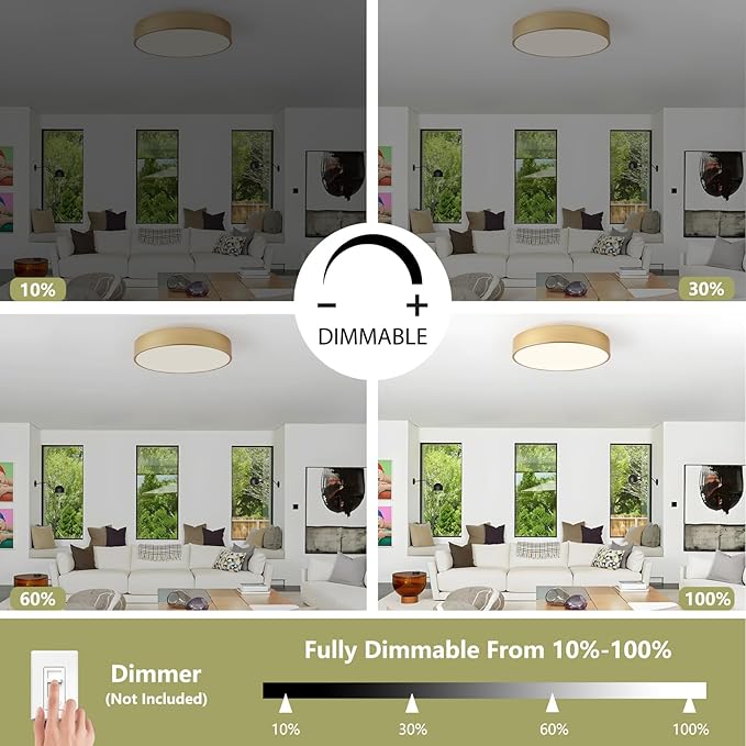 Modern Flush Mount Ceiling Light, 3-Lights Gold Ceiling Light, Minimalistic Ceiling Lamp Acrylic Shade Lighting Fixture for Bedroom Laundry Room Bathroom Hallway(15.8 Inch)