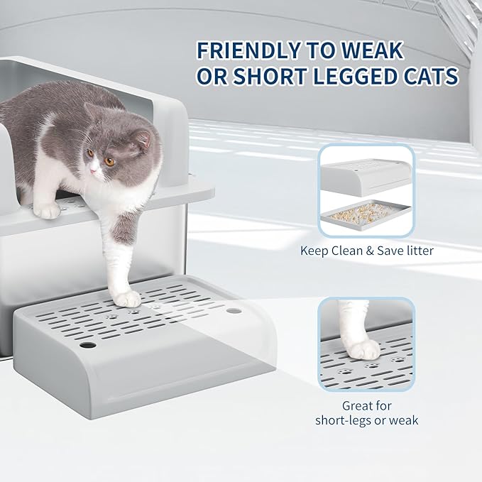 Stainless Steel Cat Litter Box 6 inch, XXL Large Cat Litter Tray with High Side, Platform Step and Scoop for Big Cats Multiple Cats, Easy Clean