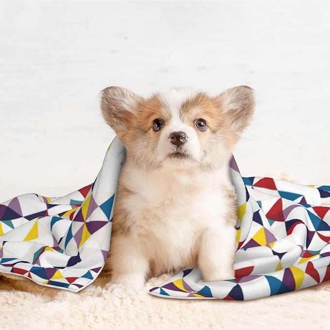 Two Sided Plush Pet Blanket for Warmth Comfort, Red Black Classical Retro Houndstooth Pattern, Reversible Throw with Cozy Nubby Side for Chilly Nights Napping Spots Around House