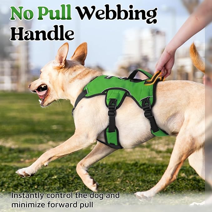 rabbitgoo Escape Proof Dog Harness, Soft Padded Full Body Pet Harness, Reflective Adjustable No Pull Vest with Lift Handle and Lesh Clip for Large Dogs Walking Hiking Training, XL, Green