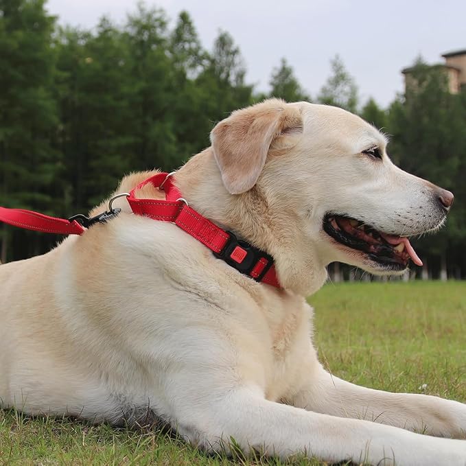 Joytale Martingale Collar for Dogs, Reflective Heavy Duty for Safety, Quick Release Buckle, Adjustable Nylon Collars for Medium Dogs Walking Training, Red,M
