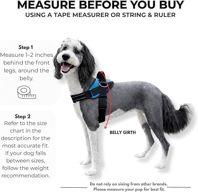 ShawnCo Essential Dog Harness, No-Pull Pet Vest with 3 Leash Clips, No Choke, Reflective, Adjustable and Padded, for Easy Walking and Training for Small, Medium and Large Dogs (Driftwood, L)