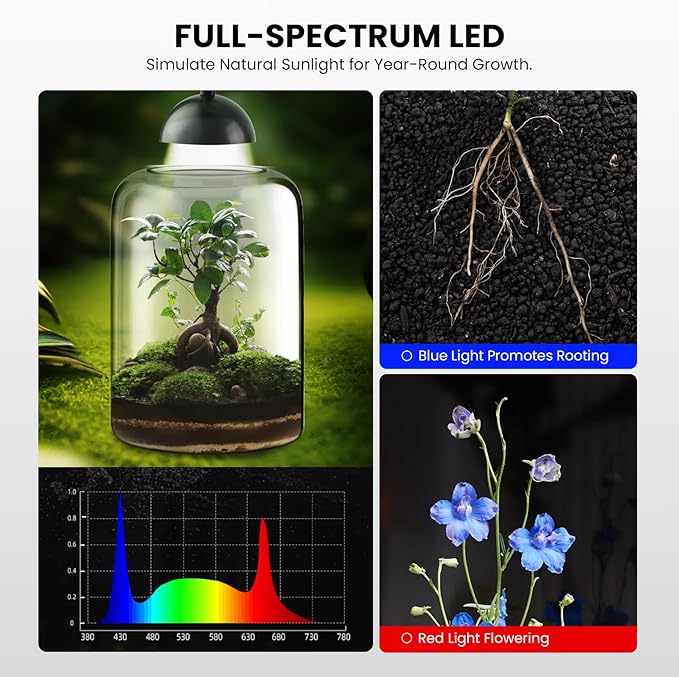 Glass Plant Terrarium with LED Grow Light & Adjustable Ventilation, 8.2" Desktop Terrarium for Venus Fly Trap, Moss & Succulents, Borosilicate Indoor Planter for Home Office Decor