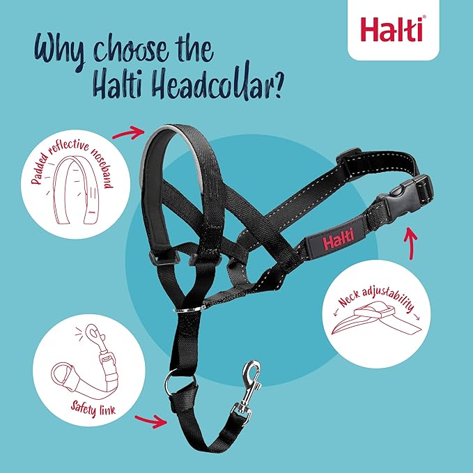 Halti Headcollar Size 5, Black & Halti Training Leash Size Large, Black Combination Pack - Stop Your Dog Pulling on the Leash. Adjustable, Lightweight with Padded Nose Band. Suitable for Large Dogs