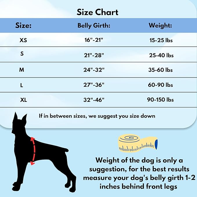 ShawnCo Dream Walk No-Pull Dog Harness- Adjustable, Comfortable, Easy to Use Pet Halter to Help Stop Pulling for Small, Medium and Large Dogs (Pacific Blue, M)