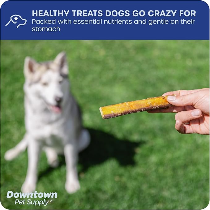 Downtown Pet Supply Jumbo Bully Sticks for Dogs - Natural Beef Chews, Low-Odor & Rawhide-Free, Long Lasting Dog Treats for Aggressive Chewers - Healthy, Safe & Delicious Chews Dogs Love (12" 5 Pack)