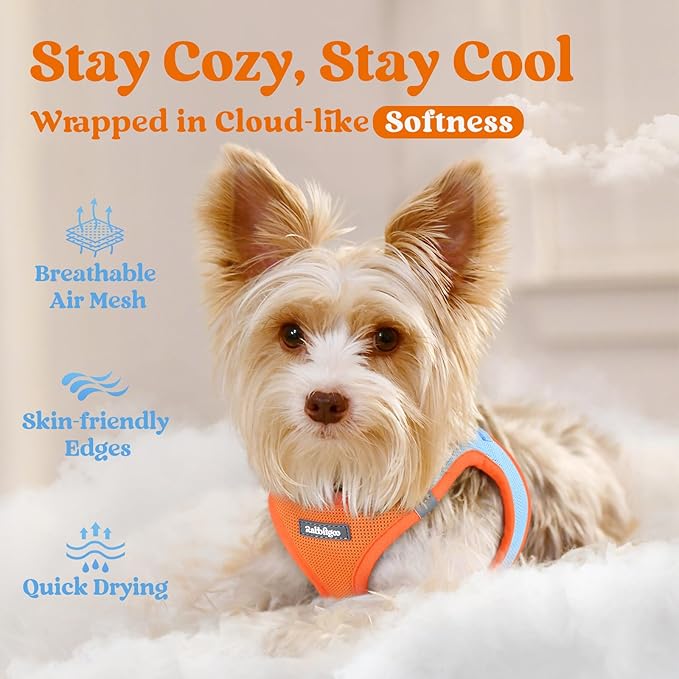 rabbitgoo Small Dog Harness, Step-in Soft Mesh Puppy Vest with Safety Buckle, Breathable Reflective Pet Harness for Small Medium Dogs, Blue & Orange L