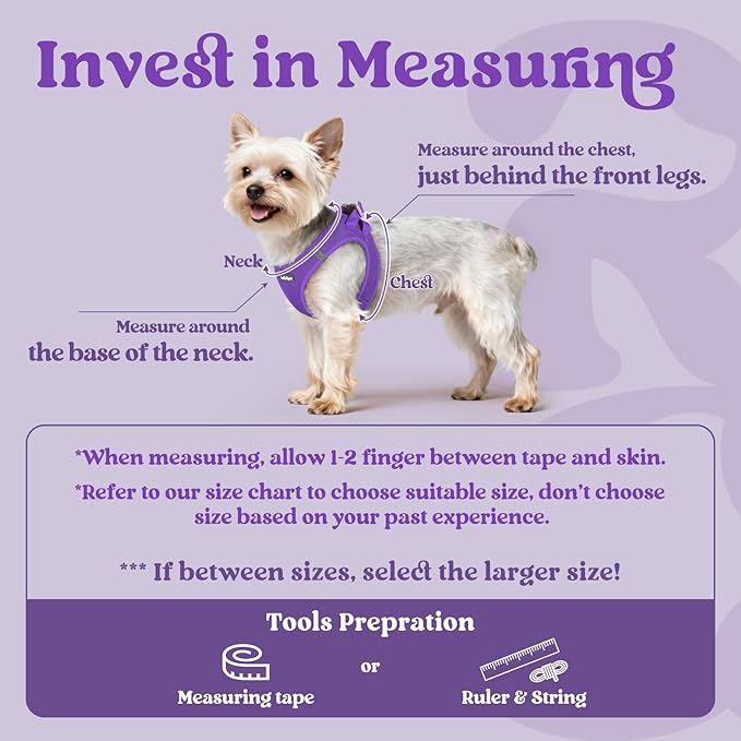 rabbitgoo Small Dog Harness, Step-in Soft Mesh Puppy Vest with Safety Buckle, Breathable Reflective Pet Harness for Extra Small Dogs, Purple XXXS