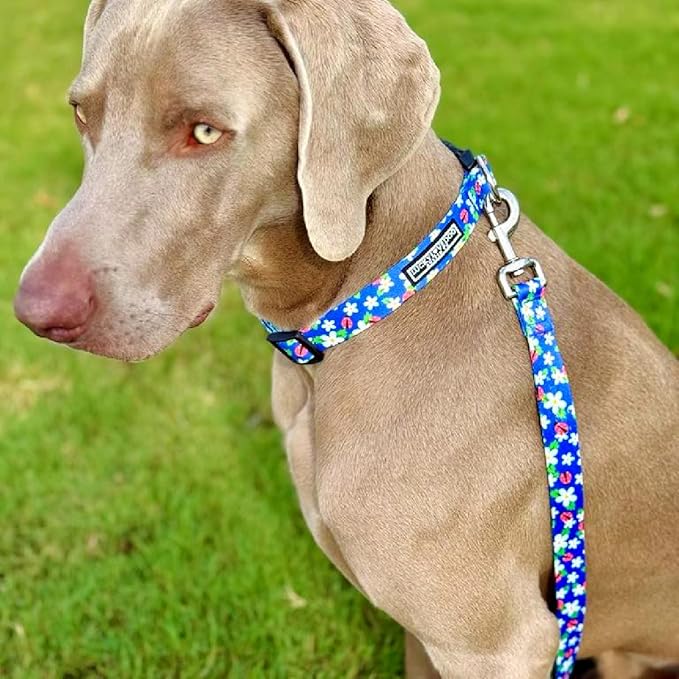 Lucky Love Dog - Easy Click Buckle Dog Collar with Leash Set Combo, Durable & Comfortable for Male & Female Dogs, Pet Collar for Large Dogs, Secure Fit - Lilian Combo, Large