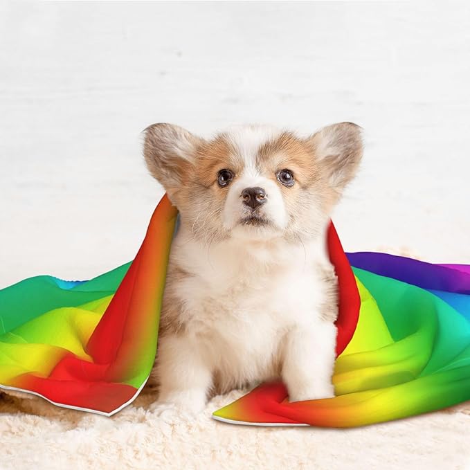 Pet Blanket for Couches and Beds, Colorful, Reversible Double Sided Plush Design with Soft Bumpy Texture and Smooth Surface, Furniture Protector