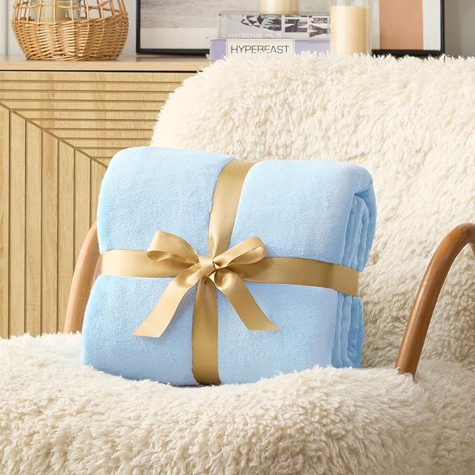 Hansleep Queen Light Blue Fleece Blanket, Soft Flannel Bed Blanket | Fuzzy Cozy Blanket 90x90 Inches, Multi-use for Bed, Sofa, Couch, Travel, Camping, All Season Warm Lightweight Cover