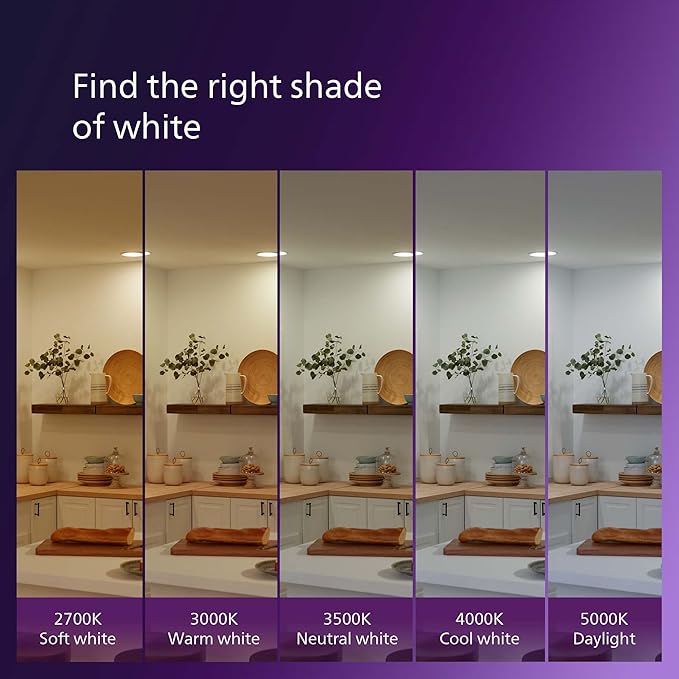 PHILIPS LED 60W A19 4-Pack Ultra Definition Daylight (5000K) 800 Lumen (8W = 60W) Dimmable Frosted Flicker-Free Light Bulbs