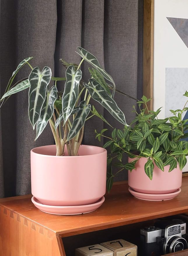 LE TAUCI Ceramic Plant Pots, 4.3+5.3+6.8 inch, Set of 3, Planters with Drainage Hole and Saucer, Indoor Flower Pot with Hole Mesh Pad, Gifts for Mom, Pink