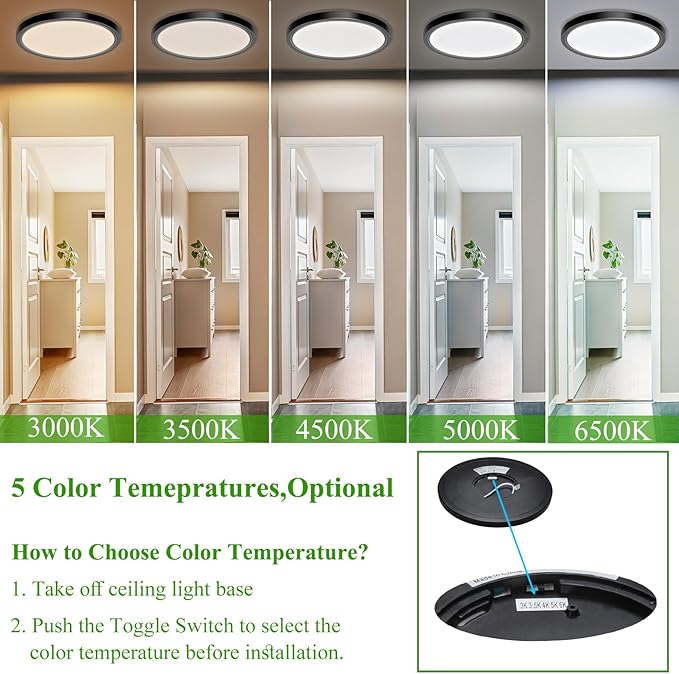 LED Flush Mount Ceiling Light Fixture, 24W 12Inch 2880LM Low Profile Black Ceiling Light for Bedroom, Living Room, Dining Room, Pack of 2