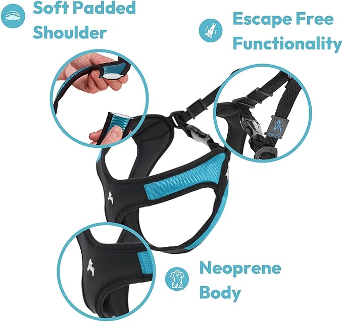 Gooby Escape Free Easy Fit Harness - Blue, Medium - No Pull Step-in Patented Small Dog Harness with Quick Release Buckle - Perfect On The Go No Pull Harness for Small Dogs or Medium Dog Harness