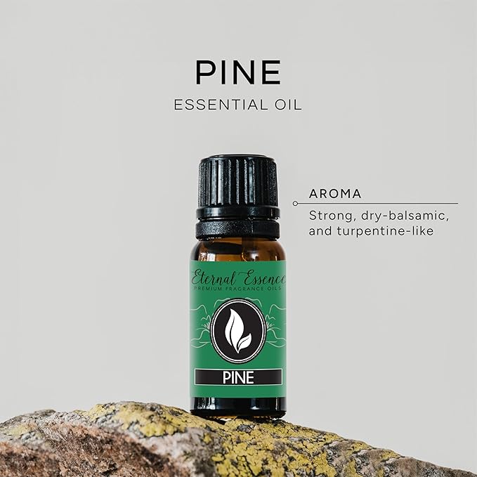 Pine Needle Premium Grade Fragrance Oil - 10ml - Scented Oil