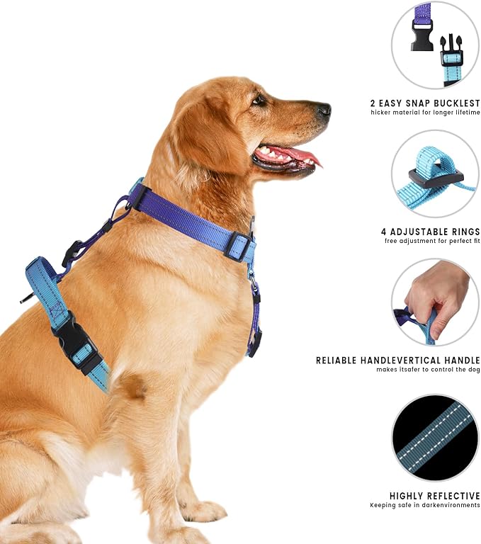 Roses&Poetry Dog Harness Large Breed, Adjustable No Pull Vest Harness and Leash Set, Reflective Puppy Harnesses with Comfort Padded Handle for Pet Training Outdoor Walking（Gsky-XL