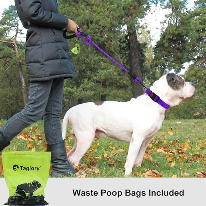 Taglory Rope Dog Leash 5 FT with Comfortable Padded Handle, Highly Reflective Threads Leash and Anti-Tangle Clip for Walking Medium Large Dogs, 1/2 inch, Purple
