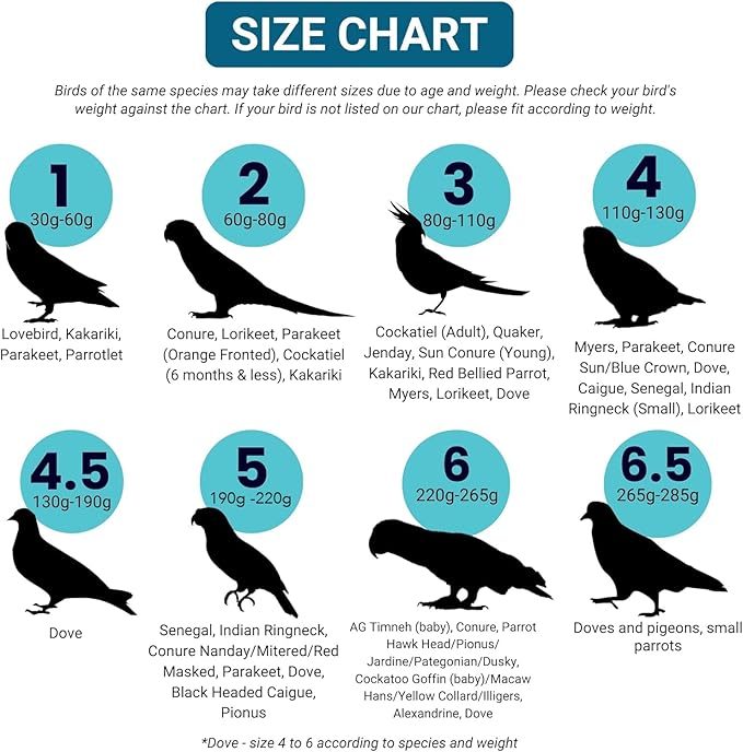 Bev's Bird Boutique Regular Flyper Adjustable Bird Diaper | Reusable, Washable Cloth | Comfort Fit for Parrot, Cockatiels, & Other Small Birds | Fashionable Avian Accessories, Pirate, Size 7