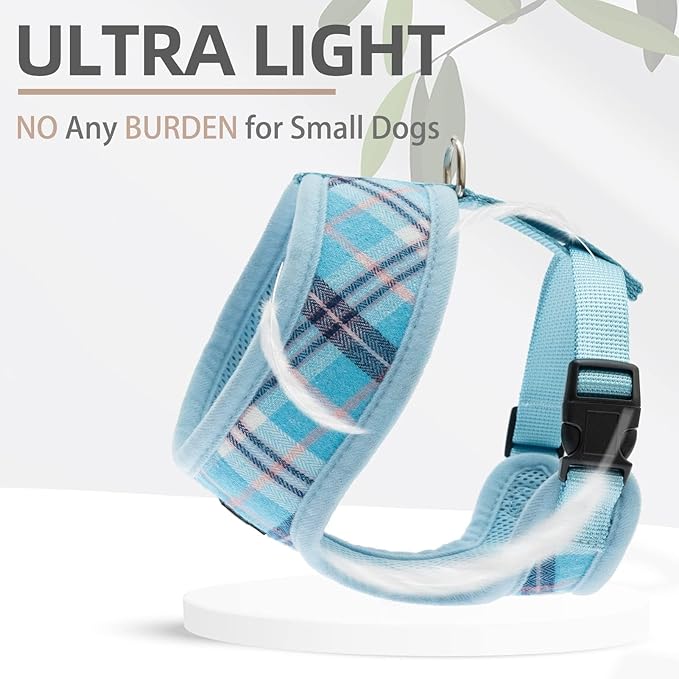 PUPTECK Soft Mesh Dog Harness and Leash Set Pet Puppy Cat Comfort Padded Vest No Pull Harnesses, Light Blue, L