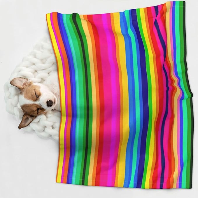 Reversible Dog Blanket for Beds Couches, Novel Colorful Mexican Blanket Stripes, Double Sided Cat Blanket with Textured Dot Feel and Smooth Feel for Seasonal Comfort All Year