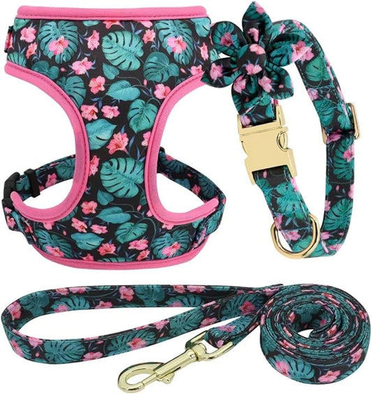 Beirui Cute Girl Dog Collars, Harnesses & Leashes Set - Adjustable Dog Collar and Leash Set with Flower - Soft Mesh Dog Vest Harness for Puppies Small Medium Dogs (Green,XS)