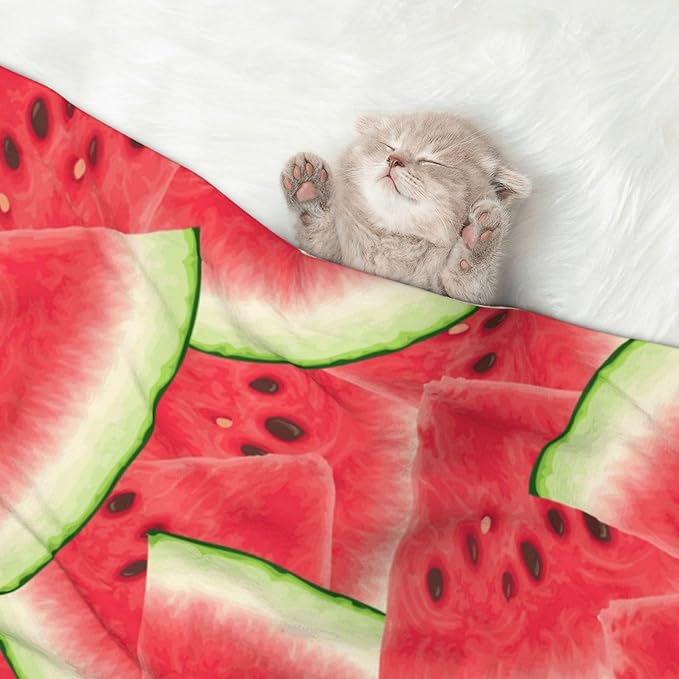 Double Sided Plush Pet Blanket with Cozy Dot Texture and Smooth Reverse, Watermelon Fruit Summer Art, Reversible Throw for Dogs Cats on Couches Beds Crates