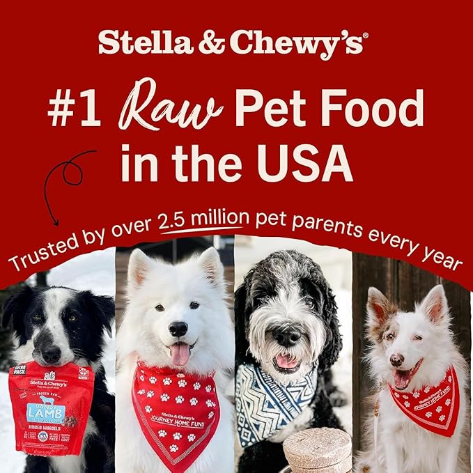 Stella & Chewy's Freeze-Dried Raw Lamb Meal Mixers- Dog Food Topper and Mixer - Made with 95% Grass-Fed Lamb, Organs & Bone - Perfect for Picky Eaters - Grain-Free - 35 oz (Pack of 2)