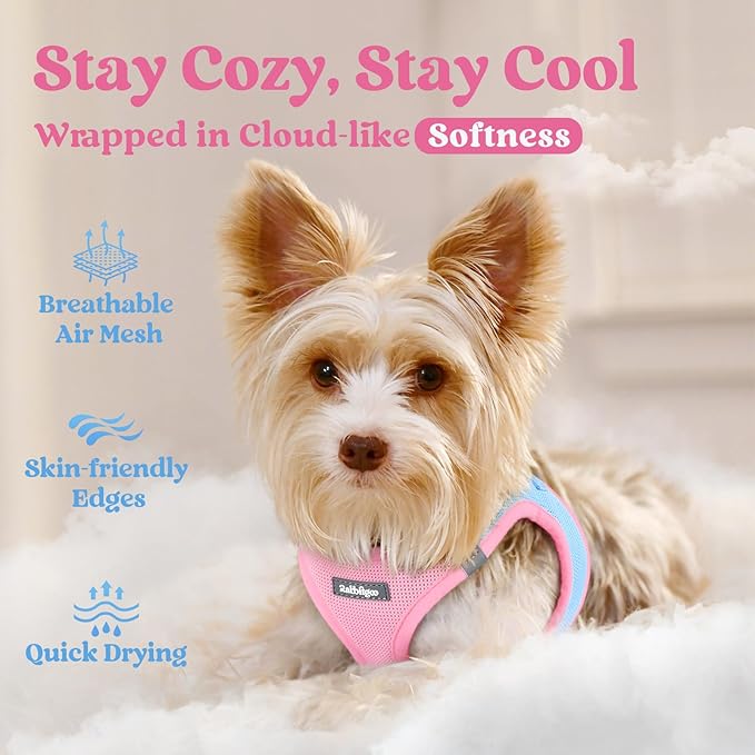 rabbitgoo Small Dog Harness, Step-in Soft Mesh Puppy Vest with Safety Buckle, Breathable Reflective Pet Harness for Small Sized Dogs, Blue & Light Pink M