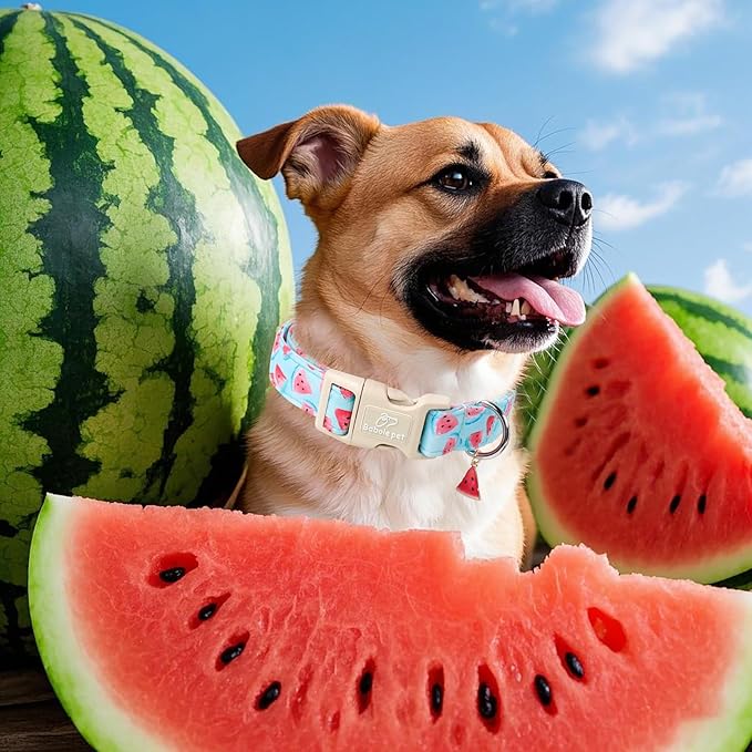 Adjustable Summer Dog Collar, Cute Watermelon Dog Collars for Giant Large Dogs, Lightweight Quick-Release Buckle Collar for Boy&Girl Dogs XL