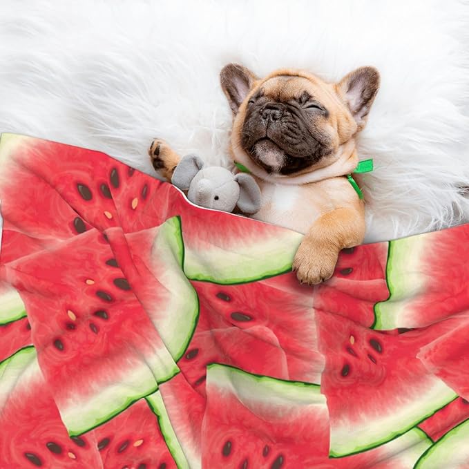 Double Sided Pet Throw for Dogs Who Shed, Watermelon Fruit Summer Art, Reversible Blanket with Nubby Dot Side Catches Loose Fur for Easier Furniture Cleanup