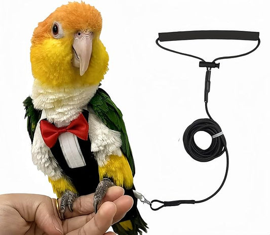 Bird Diapers Bird Harness Tuxedo Flight Suits with 80in Flying Leash Parrot Nappy with Waterproof Inner Layer Urine Wet Suite for Cockatiel Conure Parakeet Macaw Budgie-Black,L
