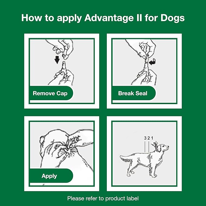 Advantage II XL Dog Vet-Recommended Flea Treatment & Prevention | Dogs Over 55 lbs. | 6-Month Supply