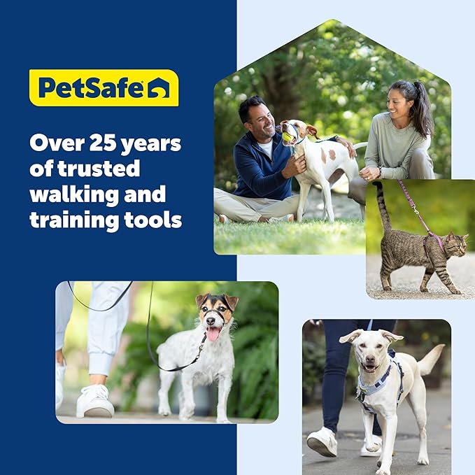 PetSafe Nylon Leash - Strong Nylon Dog Leash for Everyday Walks - Durable Pet Leash with Quick Attach Leash Clip - Comfortable Soft Grip - 4 Feet - Royal Blue