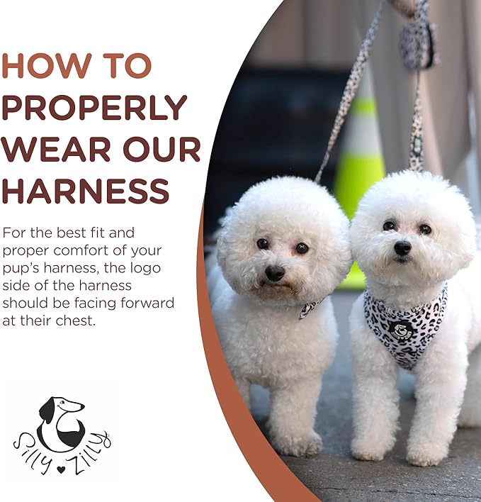 No Pull Harness and Leash Set - 6-in-1 Adjustable Vest Harness and Collars for Medium and Large Dogs. (Leopard, Large)
