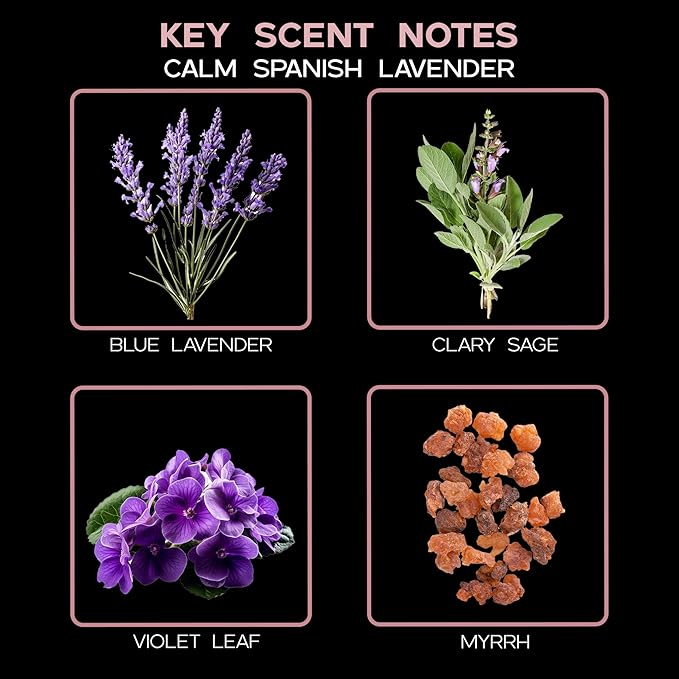 LOVSPA Reed Diffuser Set, Calm Spanish Blue Lavender Scented Oil Diffuser with Sticks, Home Fragrance Accessories for Bathroom Shelf Decor, Aroma Diffusers for Home or Office Desk, USA Made