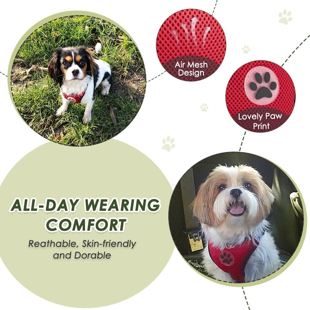 SlowTon Dog Seat Belt Harness for Car, Dog Car Harness Adjustable Mesh Breathable & Dog Seatbelt Safety Tether with Elastic Bungee for Small Medium Large Pets(Red, Double Clip, XXS)
