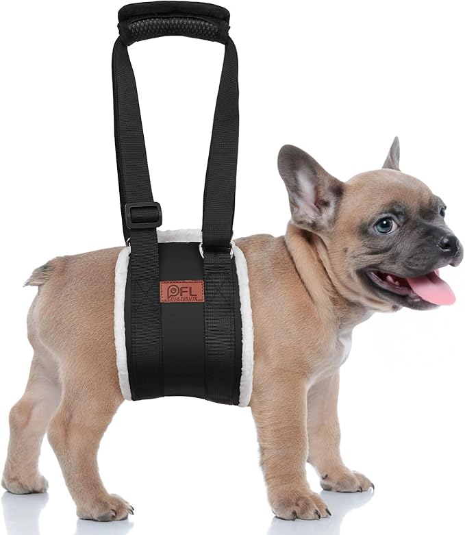 Adjustable Dog Lift Harness, Dog Sling for Large Dogs Lift Support and Rehab Harness for Weak Rear Legs, Soft Hind Leg Support Helps Senior, Injured, Disabled and After ACL Surgery Dogs(Black,Small)