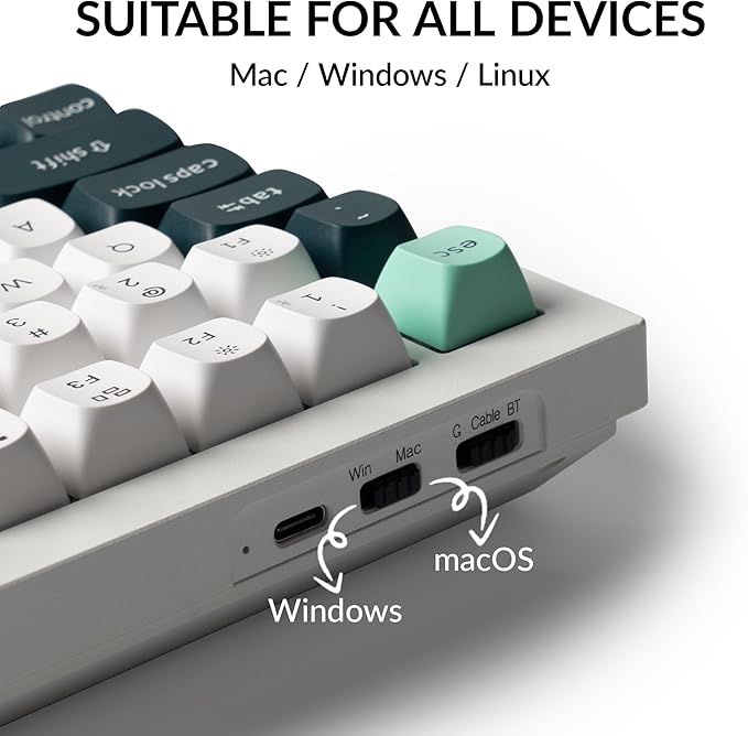 Keychron Q1 HE Wireless Custom Magnetic Keyboard, QMK Launcher | Rapid Trigger 2.4 GHz & Bluetooth 5.2 with Gateron Double-Rail Magnetic Switch for Mac Windows Linux (Hot-swappable) - White