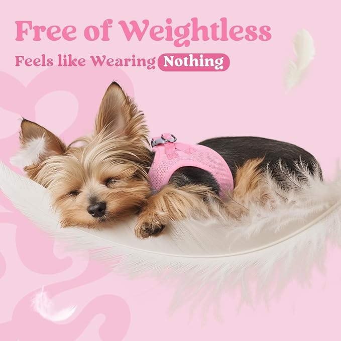 rabbitgoo Small Dog Harness, Step-in Soft Mesh Puppy Vest with Safety Buckle, Breathable Reflective Pet Harness for Extra Small Dogs, Light Pink XXS