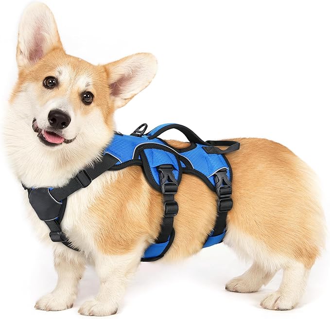 rabbitgoo Escape Proof Dog Harness, Soft Padded Full Body Pet Harness, Reflective Adjustable No Pull Vest with Lift Handle and Leash Clip for Large Dogs Walking Hiking Training, S, Blue