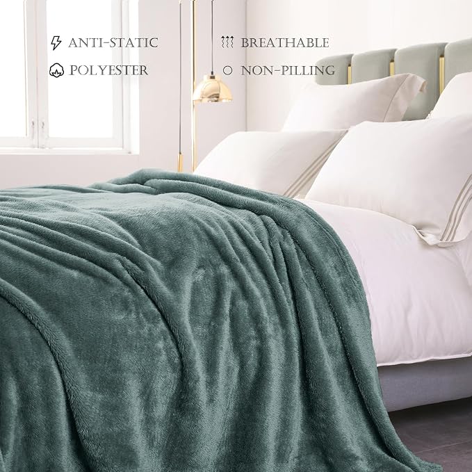 Exclusivo Mezcla Fuzzy Plush Fleece Bed Blanket Queen Size, Celadon | 90x90 Inches, Super Soft and Cozy Bed Blanket, Fluffy Decorative Bedding for Livingroom, Bedroom, All Season