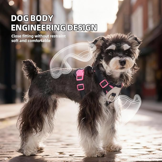 Small Dog Harness and Leash Set, Breathable Mesh Puppy Harness, Adjustable Dog Harness for Small Medium Large Dogs, No-Pull Pet Harness for Daily Walking (Hotpink, X-Large)